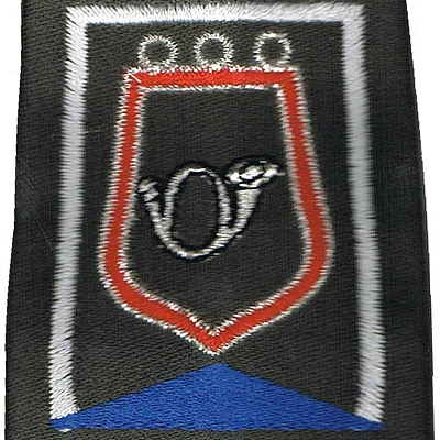 Passant d'épaule du Groupe d'Escadrons 1er Régiment de Chasseurs - Escadron de Commandement et de Logistique (V3)