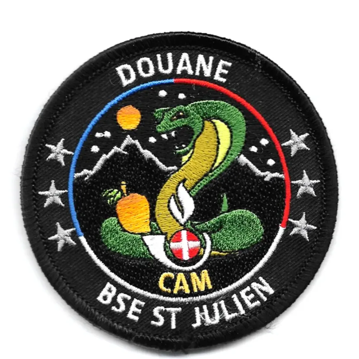 BSE -  Saint-Julien-en-Genevois - CAM