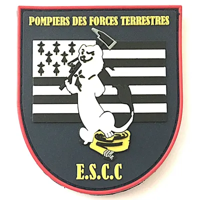 Ecoles de Saint - Cyr Coetquidan - Pompiers des forces terrestres