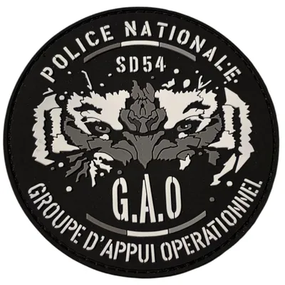GAO 54