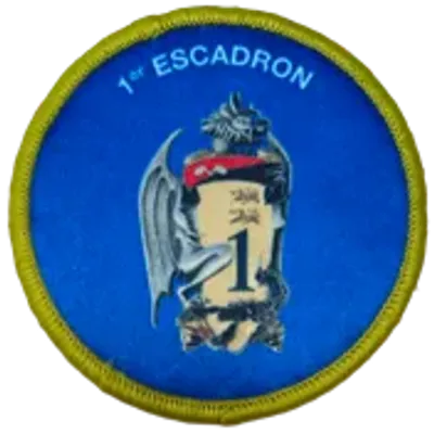 2ème Régiment de Dragons NRBC -1ier Escadron - Ecusson de tenue de sport rénovée (TSR)