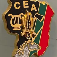 3E REI, CEA