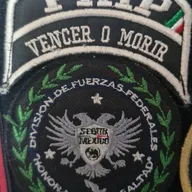 Division de force fédérale 