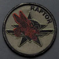 1er RCP, Battle Group Raptor, Afghanistan 2011