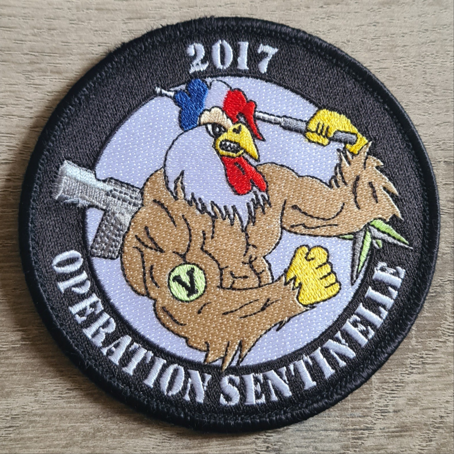 SENTINELLE 2017 / Armée de L'air / Nice