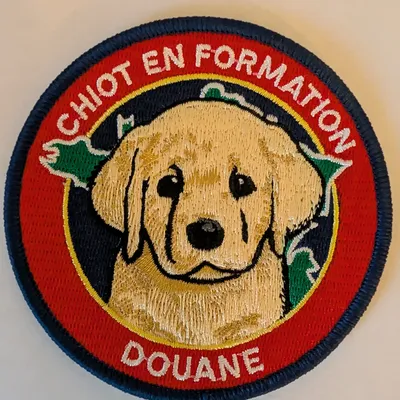 Chiot en formation