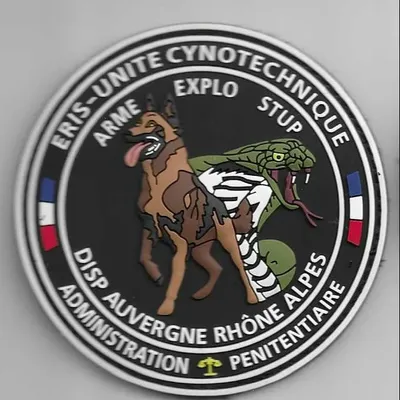 Cynotechnie pénitentiaire - DISP - Lyon
