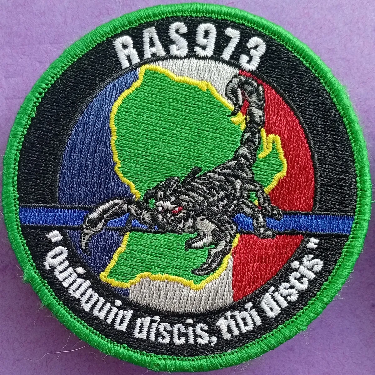 RAS973 - Quidquid discis, tibi discis 