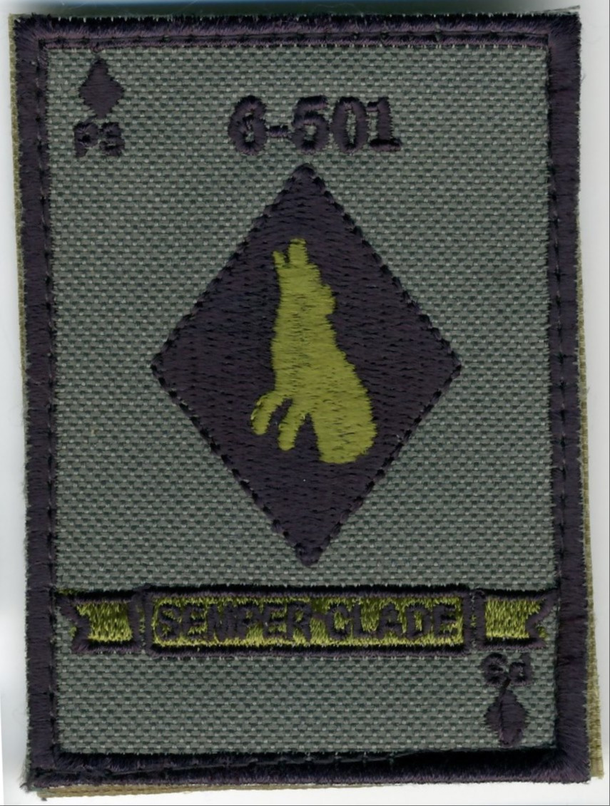 501ème Régiment de Chars de Combat - 6ème Escadron - 3ème Peloton