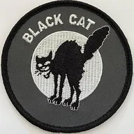 Black cat