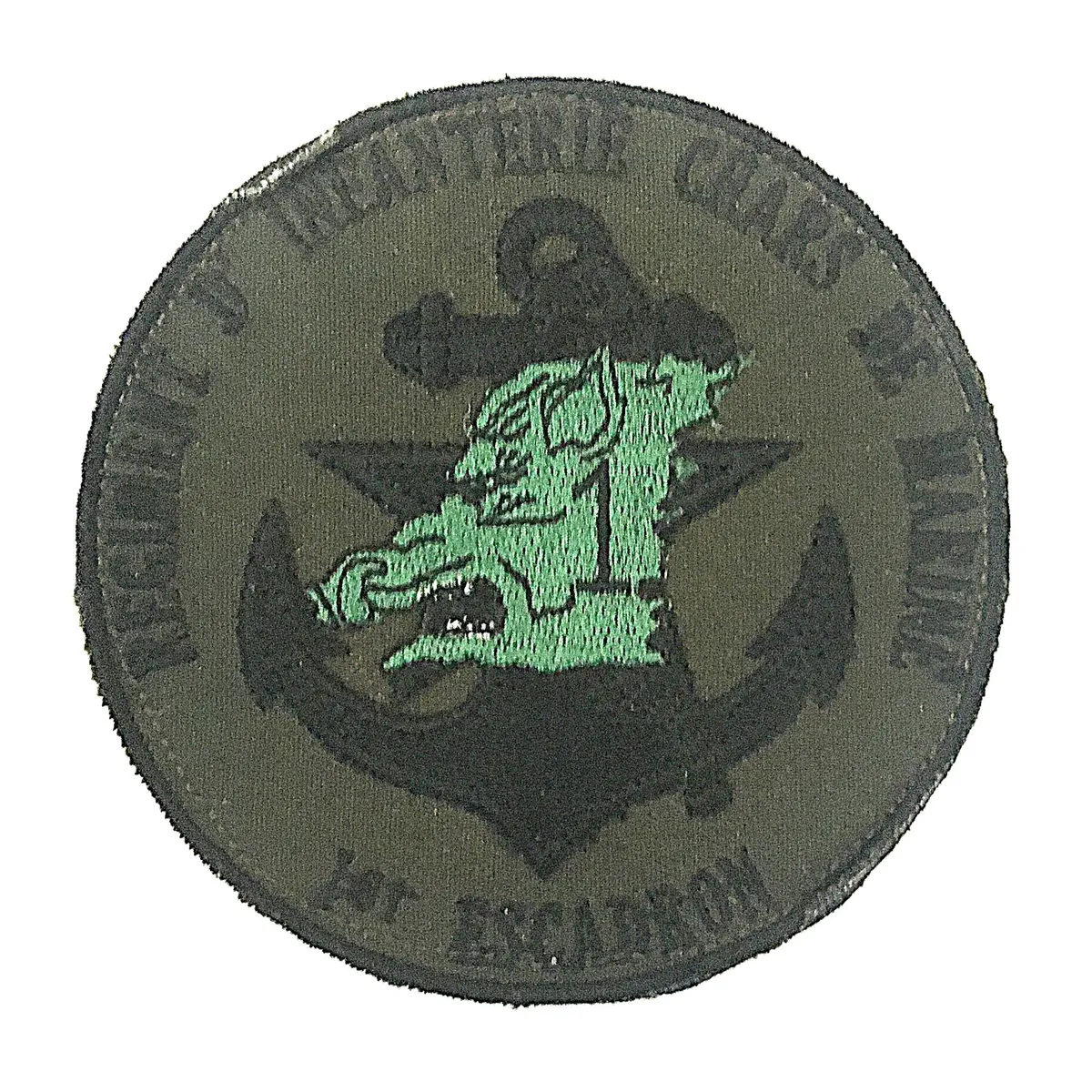 Régiment d'Infanterie Chars de Marine - 1er Escadron