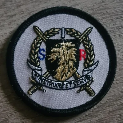 8e RT / 10e Cie / Section Instruction Réserve 