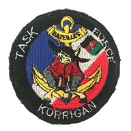 3e Régiment d'Infanterie de Marine - Task Force Korrigan