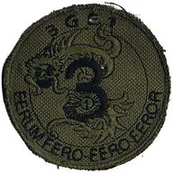Groupe d'escadrons 1er Régiment de Chasseurs - 3ème Escadron (BV)