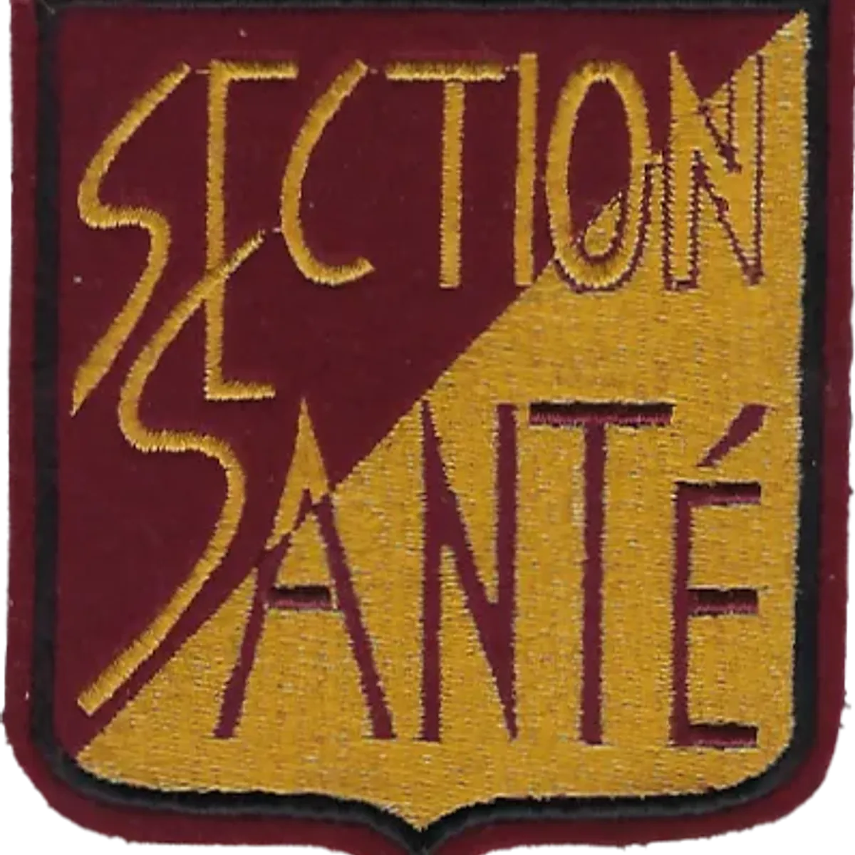 SSA : Section Santé Vincennes