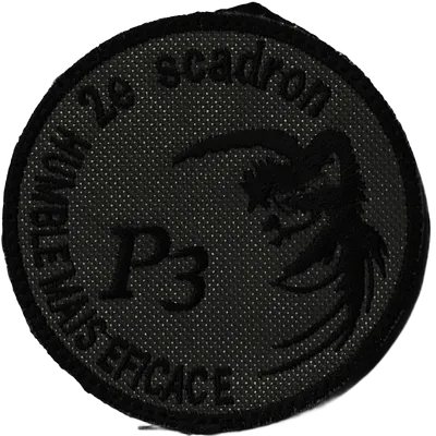 1er Régiment de Chasseurs - 2ème Escadron - 3ème Peloton (BV V2)