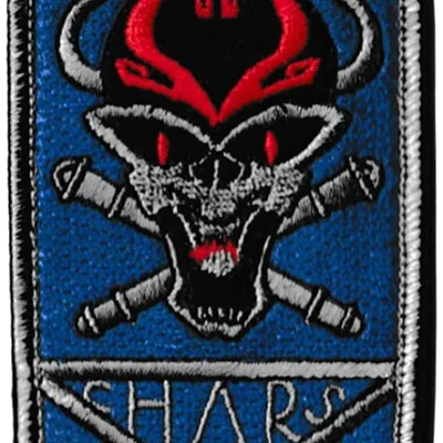 501° Régiment de Chars de Combat - 1° Compagnie - 2° Section