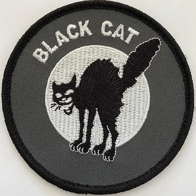 Black cat