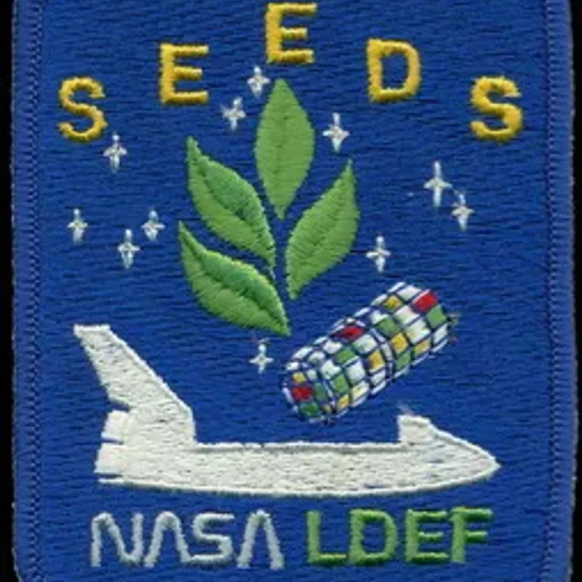 STS 41-C Seeds