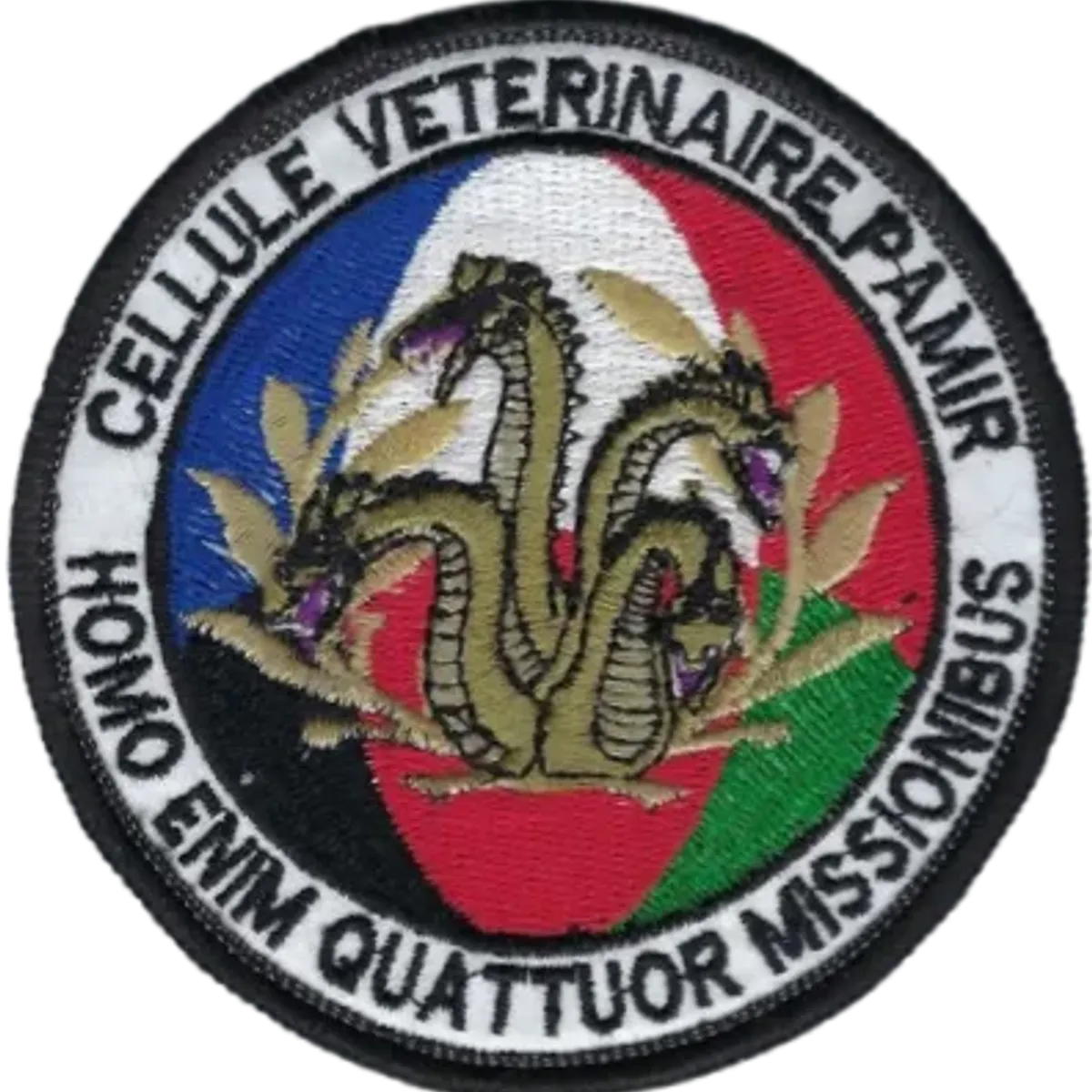 SSA : Cellule Vétérinaire PAMIR