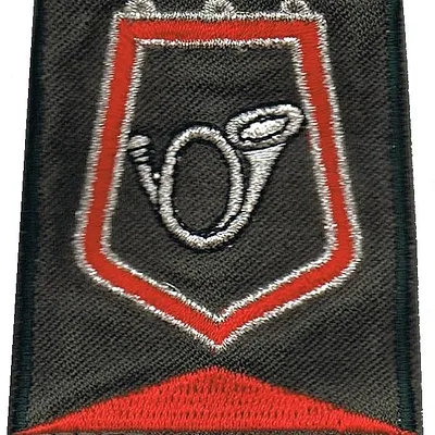 Passant d'épaule du Groupe d'Escadrons 2ème Régiment de Chasseurs - 3ème Escadron (V2)