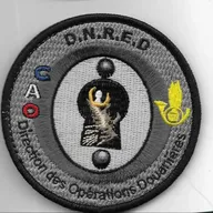 DNRED - DOD - GAO (Groupe d'appui opérationnel)