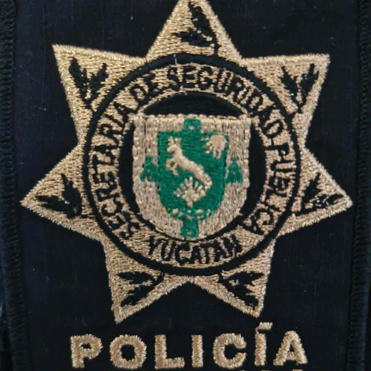 Policia Estatal