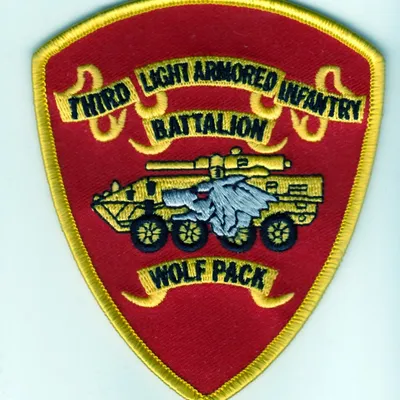 3rd Light Armored Infantry Battalion (3rd LAI)