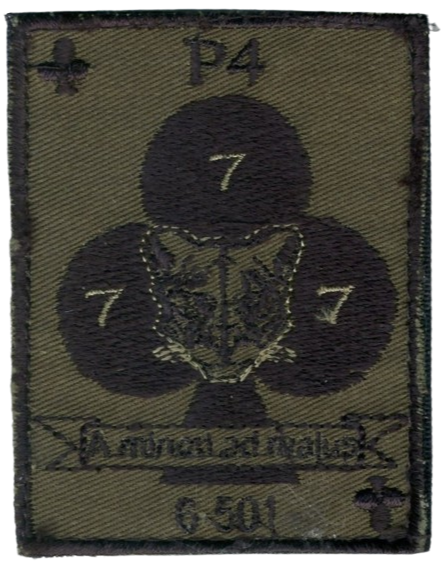 501ème Régiment de Chars de Combat - 6ème Escadron - 4ème Peloton