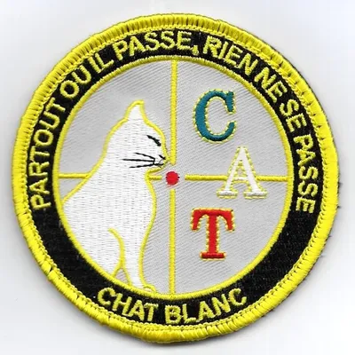 Chat Blanc - CAT