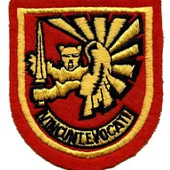 EOR - Elèves Officiers de Réserve de l'Armée de l'Air