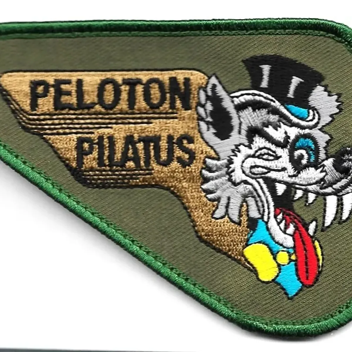 Peloton Pilatus - 18éme ETCM