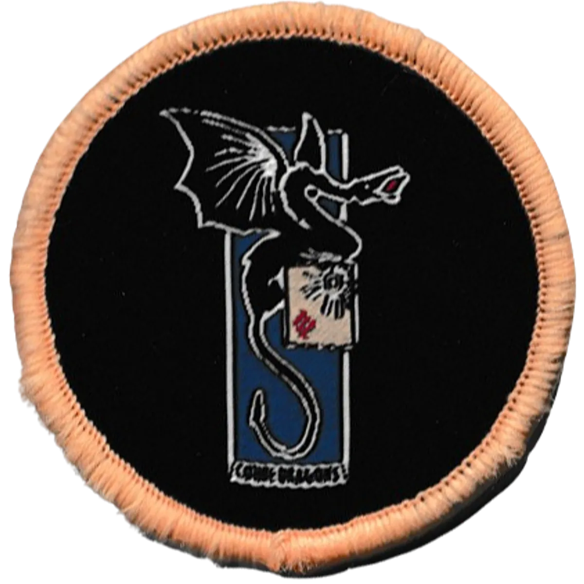 2ème Régiment de Dragons NRBC - Ecusson de tenue de sport rénovée (TSR)