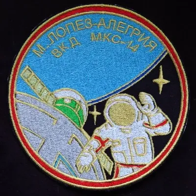ISS-14 Lopez-Alegria EVA