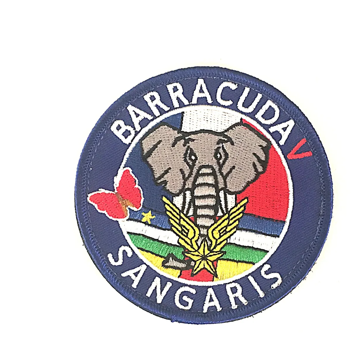 Sous-Groupement Aéromobile Barracuda-Opération Sangaris - Mandat n°5