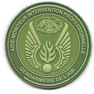 GAE - Aide-Moniteur Intervention Professionnelle