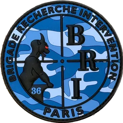 BRI Camo Bleu