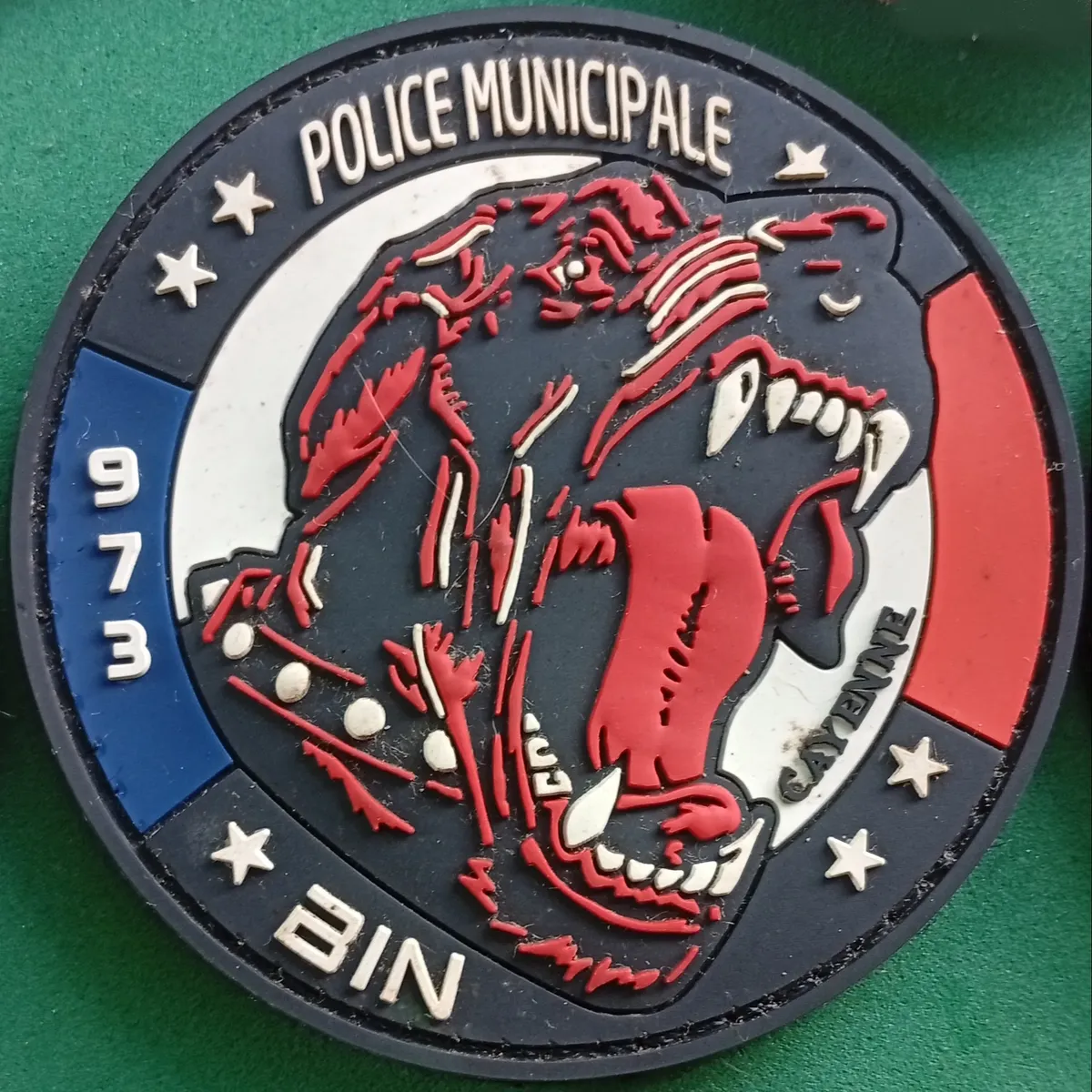 PM - Cayenne - K9