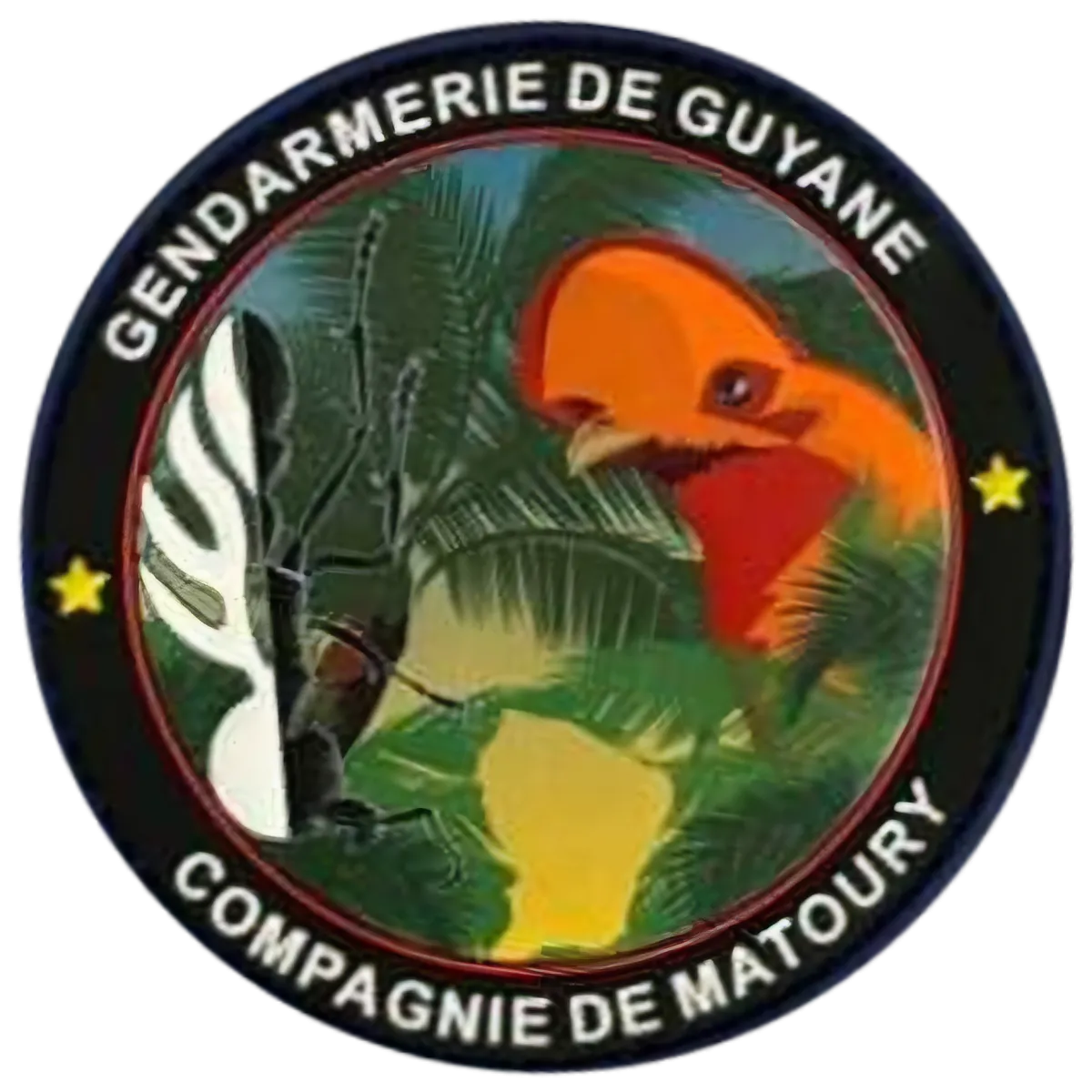 Compagnie Matoury
