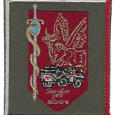 SSA : Régiment Médical Félin type 1 810ème HMC