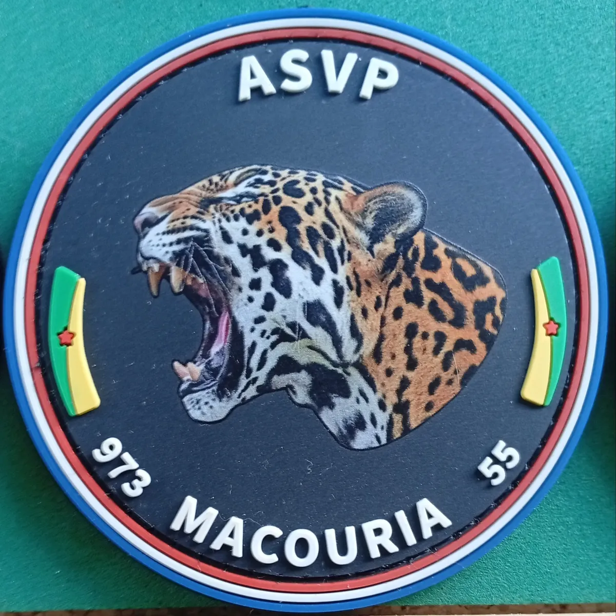 ASVP - Macouria