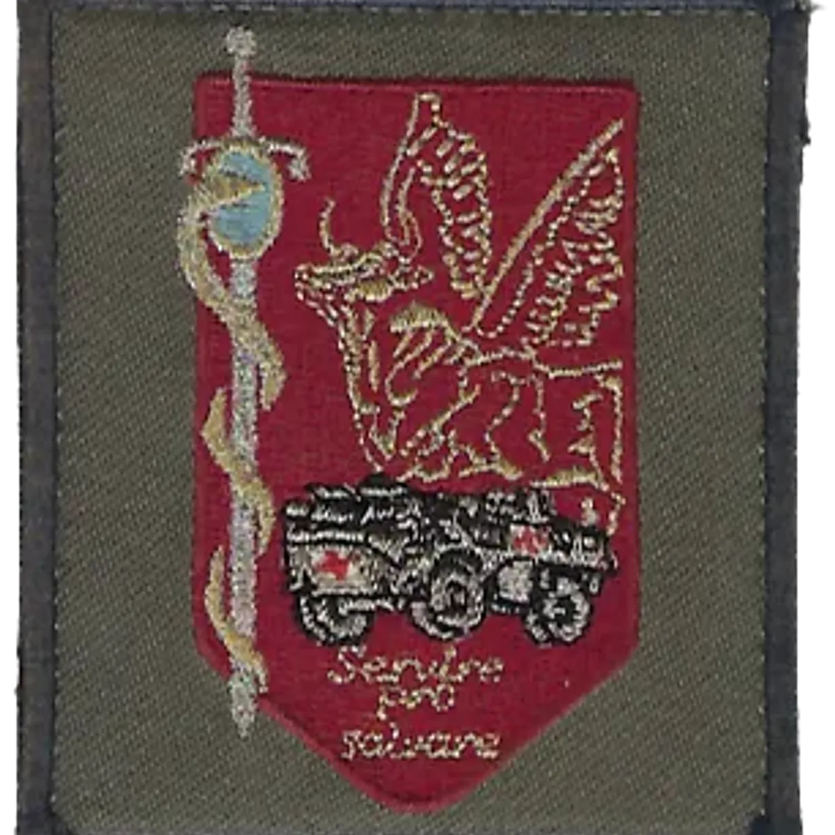 SSA : Régiment Médical Félin type 1 Etat Major