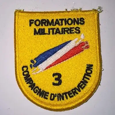 Compagnie d'Intervention n°3 - FORMISC