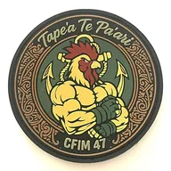 CFIM de Coëtquidan - 9e Brigade d'Infanterie de Marine - CFIM 47