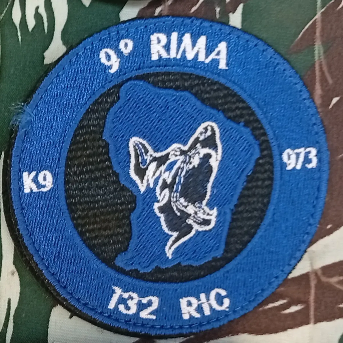 9e RIMa - 132 RIC - K9