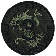 1er Régiment de Chasseurs - 3ème Escadron