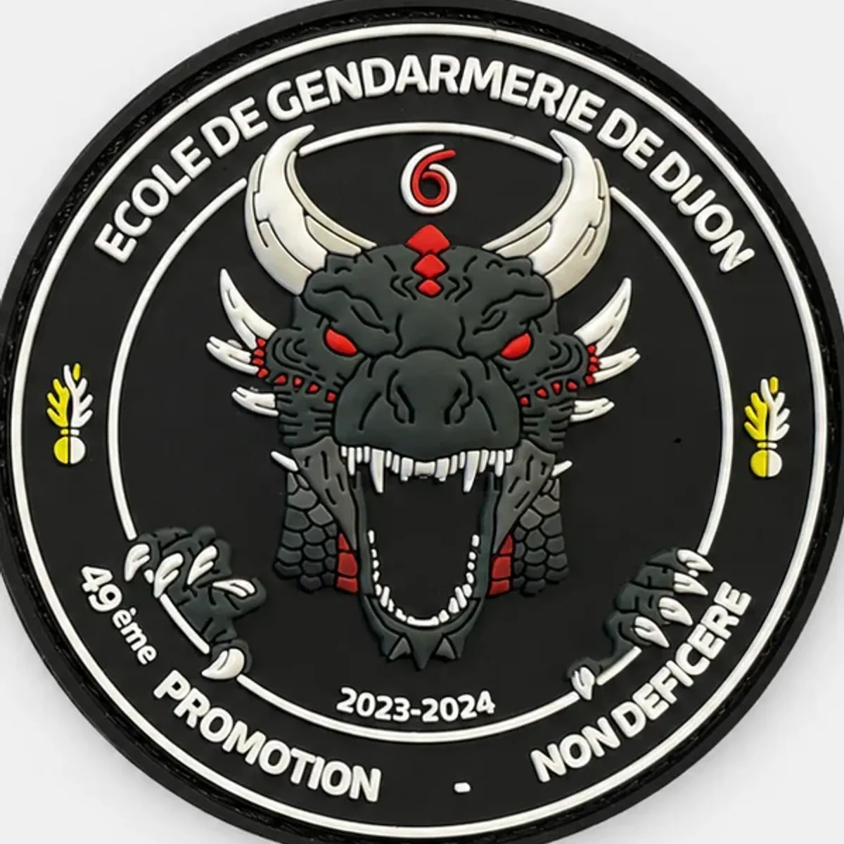 ESOG Dijon - 49e Promotion 