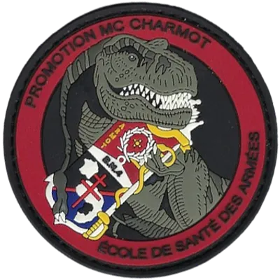 SSA : ESA Lyon Bron Promotion 2019 CHARMOT V2