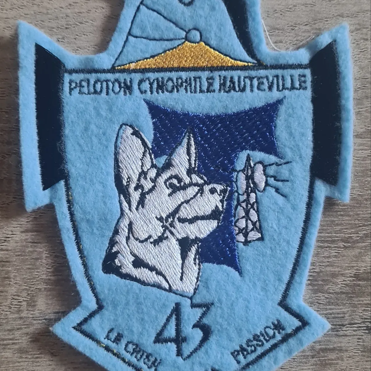 43e RT / 6e Cie / Peloton Cynophile Hauteville