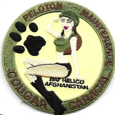 Bataillon Hélico - Peloton de Maintenance - Task-Force Mousquetaire